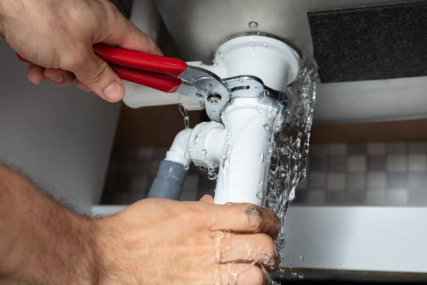 Best Water damage cleanup near me  in Miami Beach, FL
