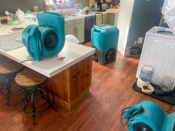 Best Flooded house restoration  in Miami Beach, FL