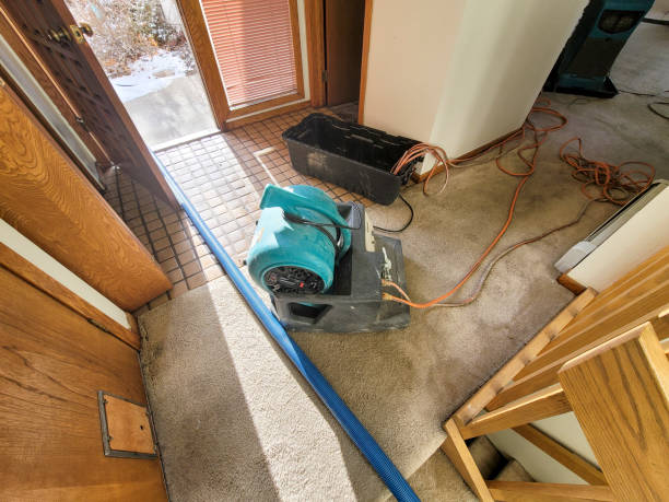 Best Ceiling water damage repair  in Miami Beach, FL