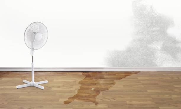 Best 24/7 water damage repair  in Miami Beach, FL