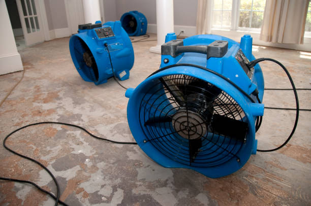 Best Emergency water damage restoration  in Miami Beach, FL