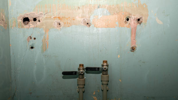 Best 24-hour water damage restoration  in Miami Beach, FL