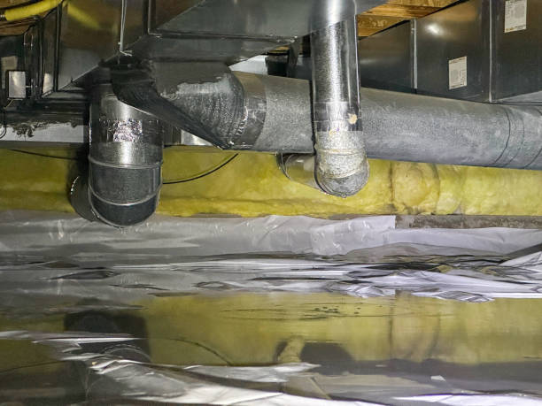 Best Flood restoration services  in Miami Beach, FL