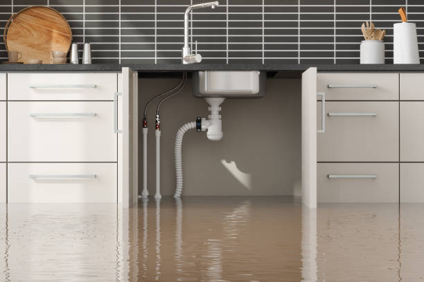 Best Residential water damage restoration  in Miami Beach, FL