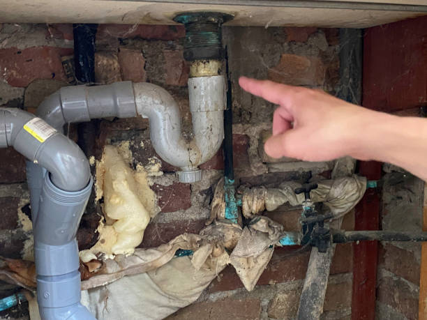 Best Water damage contractors near me  in Miami Beach, FL