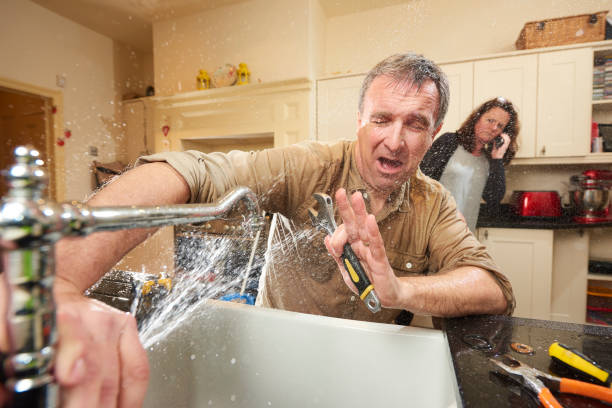 Best Professional water damage repair  in Miami Beach, FL